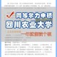 大学学位管理岗位怎么样