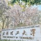 武理工大学在哪里