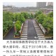 大学特殊教育有哪些学校