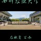 四川农业大学大学在哪里