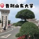 山东大学东亚学院在哪里