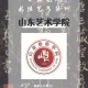 山艺指哪个大学