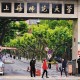 上海有哪些专科师范大学