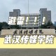 武汉传媒学院属于哪个集团