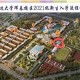 延边大学预科班在哪里上