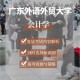 广东外语学院会计在哪里