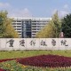 重庆科技学院怎么样大学