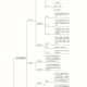 社会科学怎么做研究