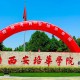 西安市培华学院怎么样