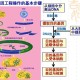 哪个学校考研遗传与育种好