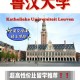 鲁汶大学在哪个城市