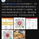 北京大学开放日怎么进