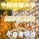 浙江哪些大学有新媒体专业