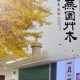 北大植物学哪个院