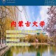 内蒙古大学哪个专业好就业