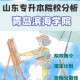 滨海大学需要多少分