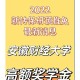 安徽省有哪个大学助学金吗