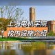 电机学院总共多少学生