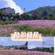 绍兴25年陆游多少岁