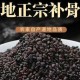 补骨脂价格一斤多少钱