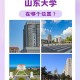 山东大学在哪个位置