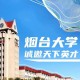 烟台哪个大学有博士生