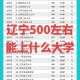 辽宁500能考上哪个大学