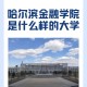 哈尔滨哪个大学有二本b