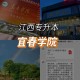 宜春学院考研有多少人