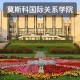 哪个学校有国际关系学