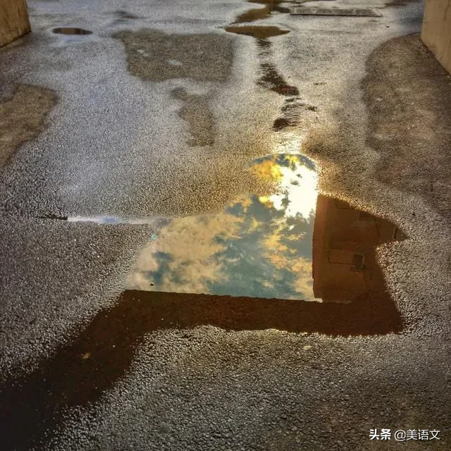 优秀作文雨中即景（小学生作文范文：雨中即景）