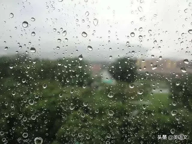 优秀习作夏雨(小学生优秀作文：夏雨)