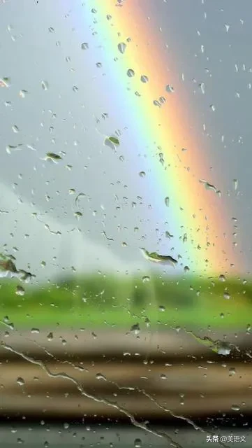 优秀作文夏雨（小学生优秀作文：夏雨）