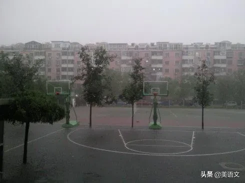 优秀作文雨中即景（小学生作文范文：雨中即景）