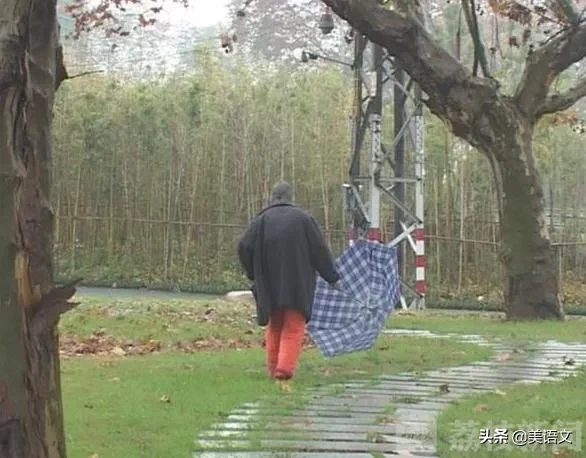 优秀作文雨中即景（小学生作文范文：雨中即景）