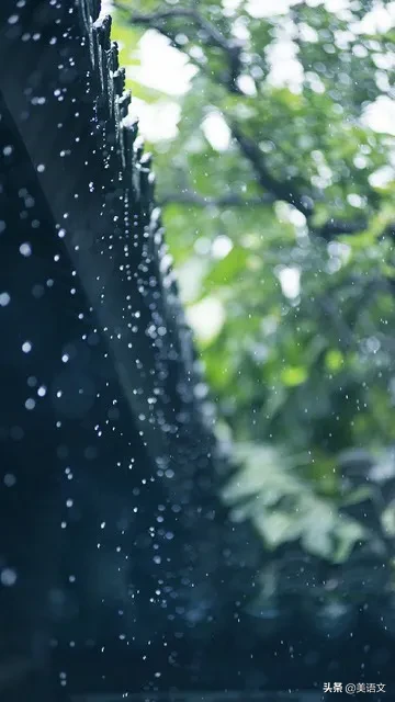 优秀作文雨中即景（小学生作文范文：雨中即景）