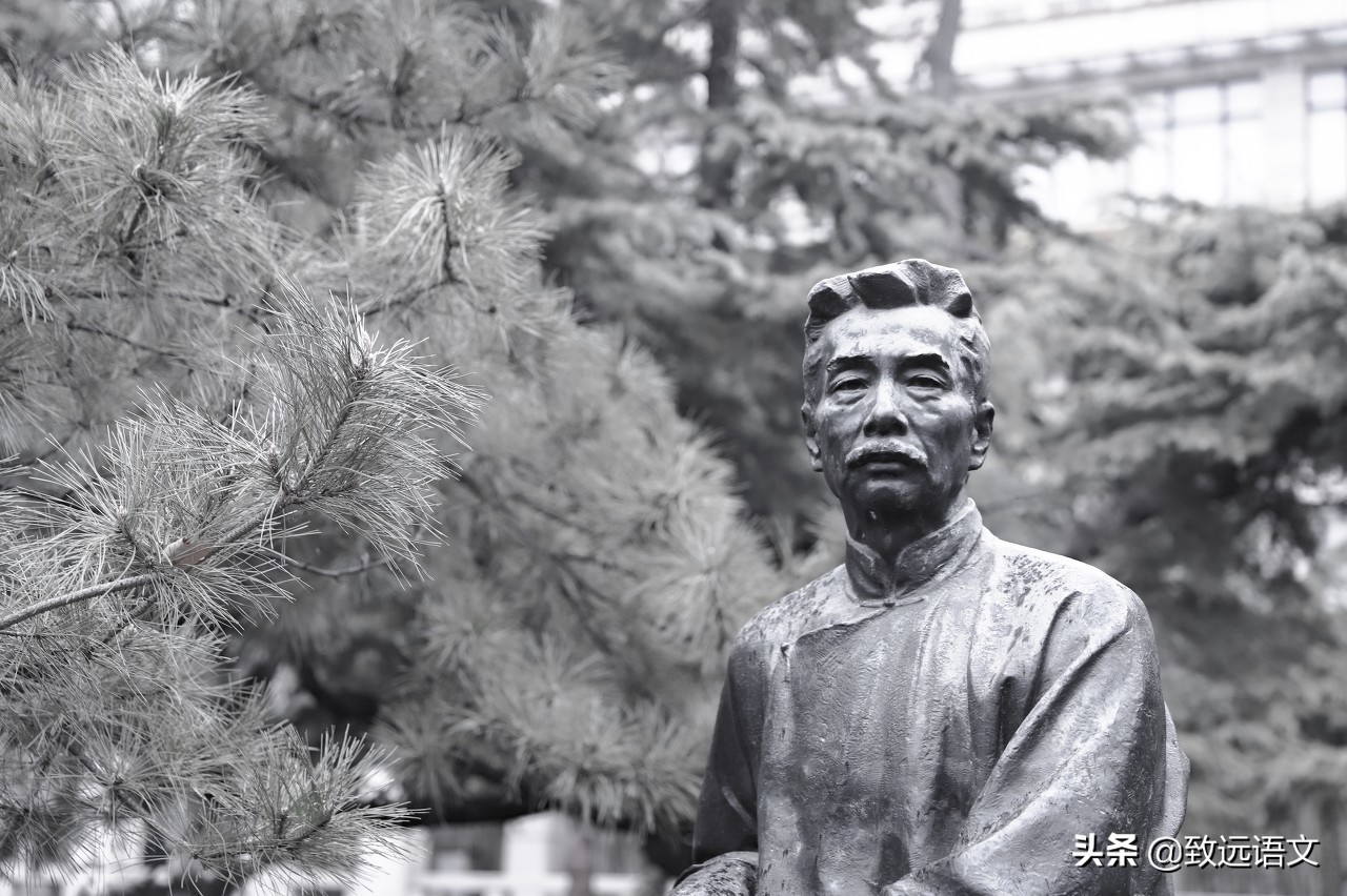 喜爱有多远——读《朝花夕拾》有感