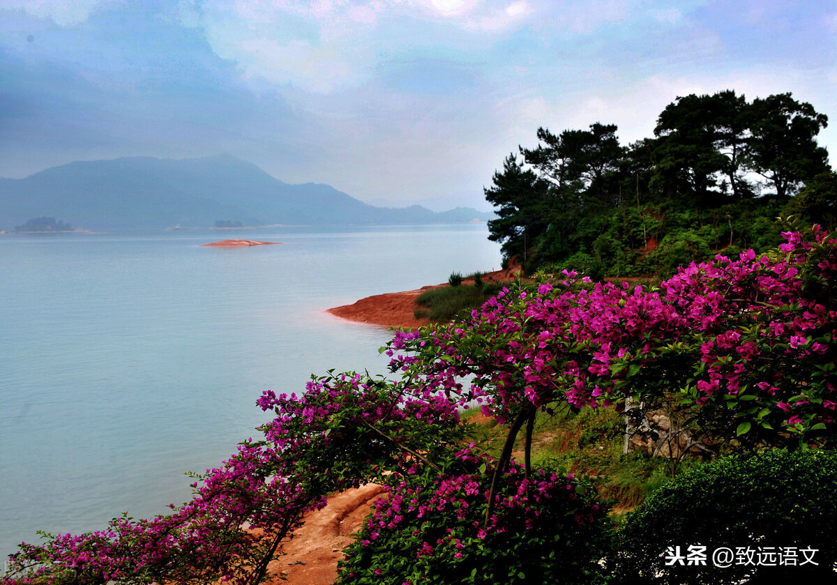 《镜花缘》整本书阅读导读设计