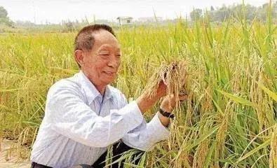 “稻”念先辈袁隆平