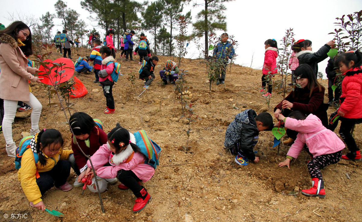 仿写二年级下册《邓小平爷爷植树》，教师下水文