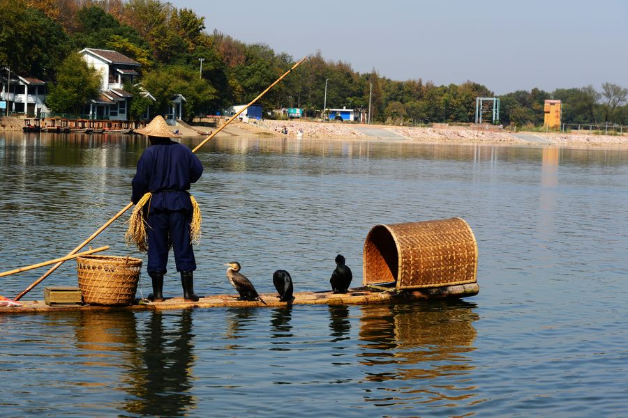 大语文——哲理组诗—参禅系列—词语组诗（连载81）—止三原创