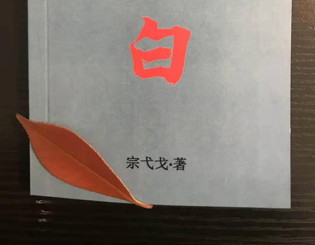 100卷《字赋》文库向建党100周年献礼——宗弋戈