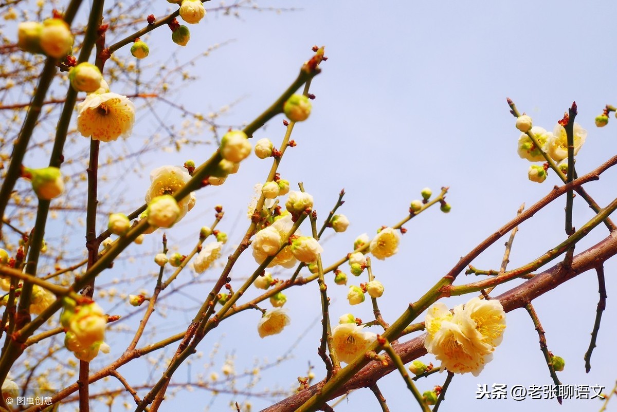 傻   良    子     （小小说）