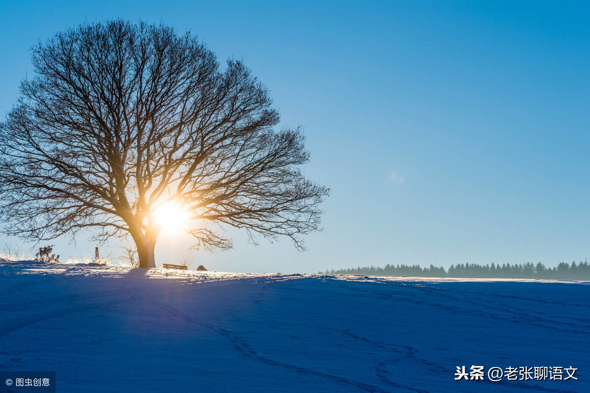 一 顿 早 餐