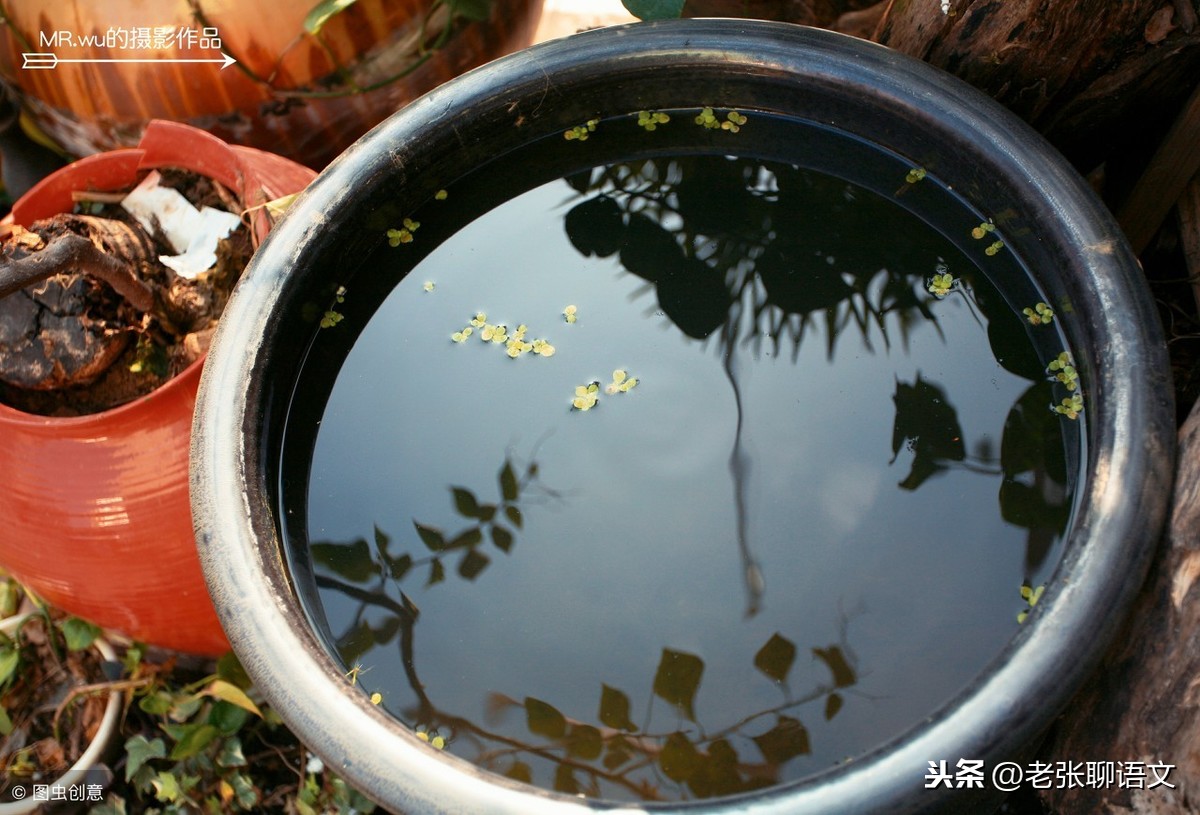 一口大水缸