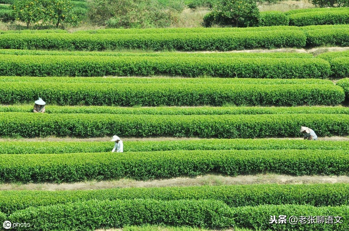 大寒时节回村庄