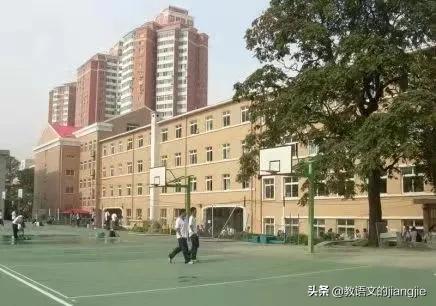 致五四路82号的青春