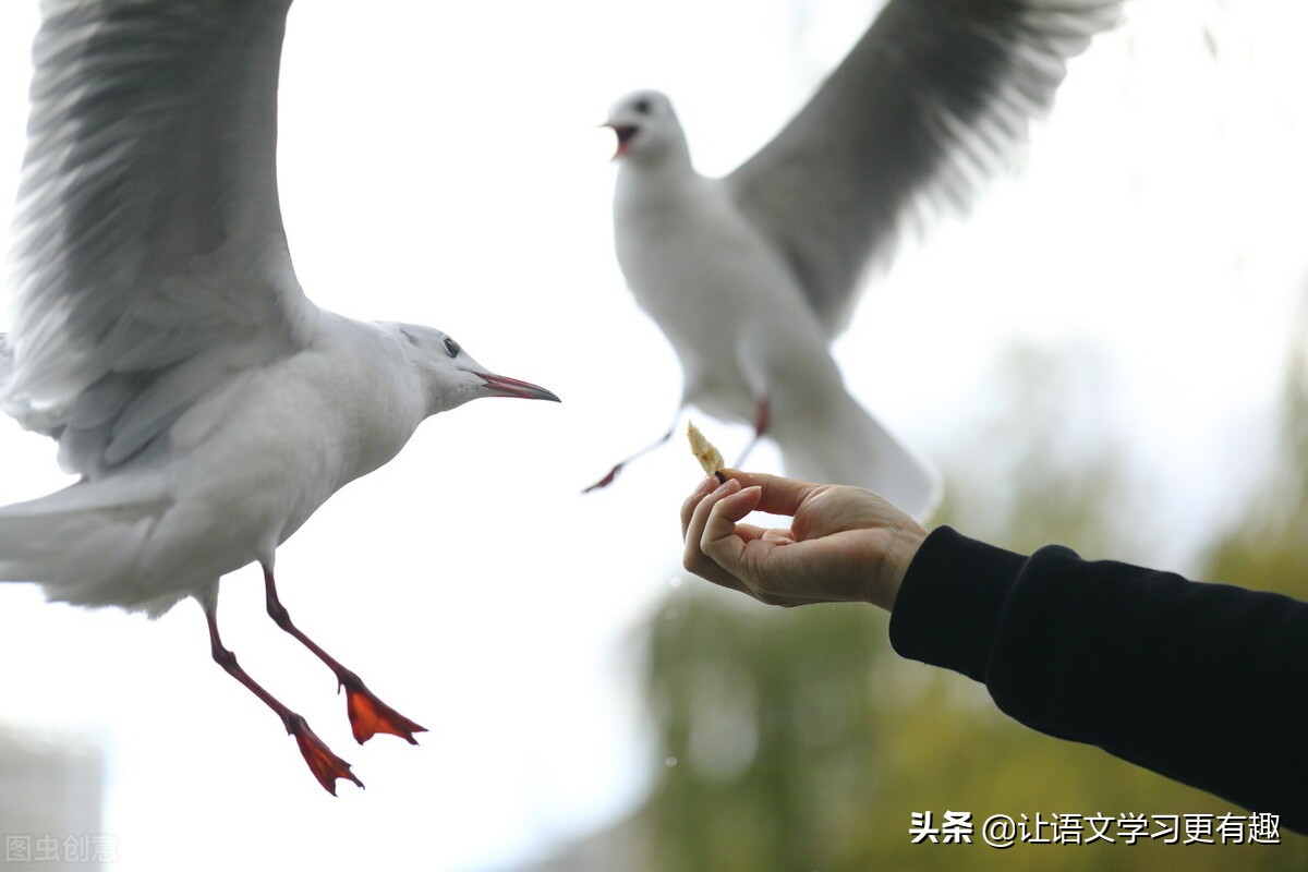 南迪｜清澈的爱，只为中国