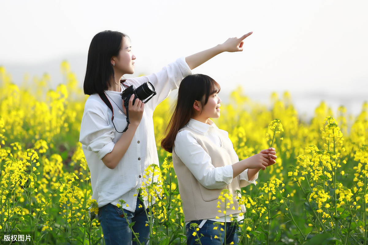 写“寒食节”的古诗词原来这么多！看一看，你还知道哪几首诗？