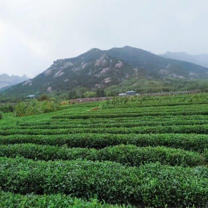 黑旋风李逵杀四虎的沂水，这些东西让你魂牵梦绕过目不忘！